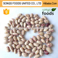 2015 New Crop Sugar Dry Beans